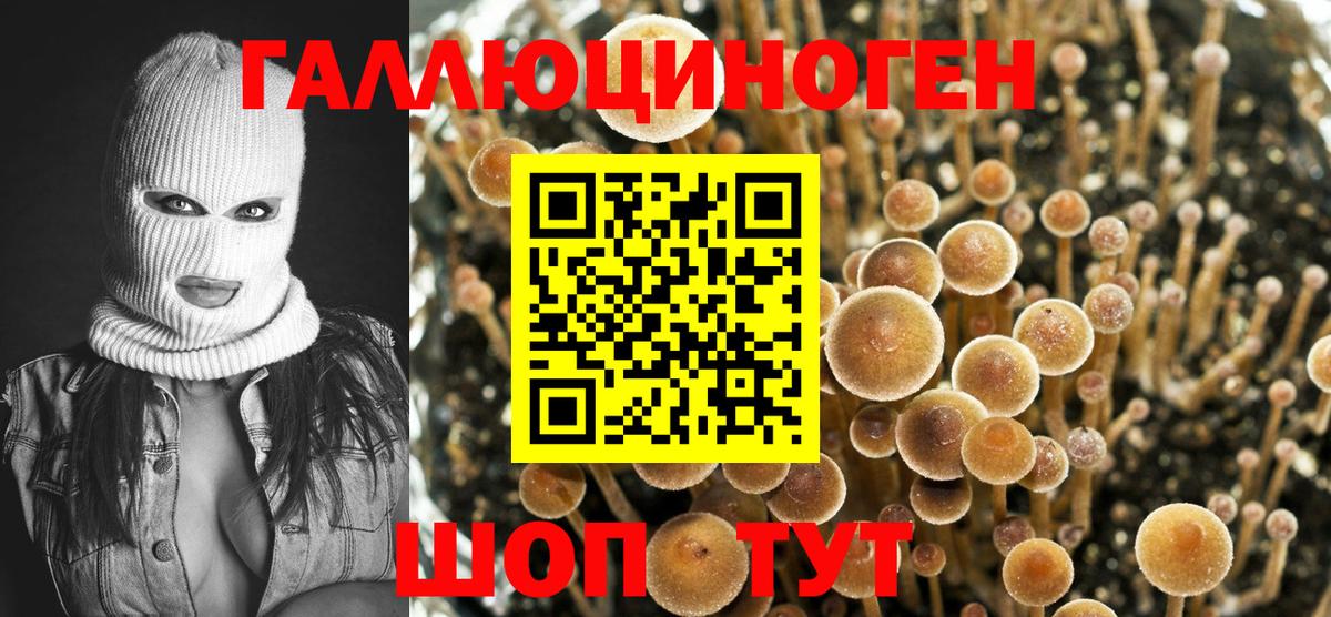 Псилоцибиновые грибы MAGIC MUSHROOMS Бирск