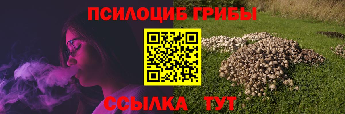 Псилоцибиновые грибы мухоморы  Галлюциногенные грибы прущие грибы  Вход с VPN  Бирск 